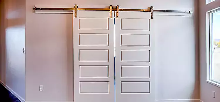 Glass Barn Door with Installation Hardware Kit Colonial Heights