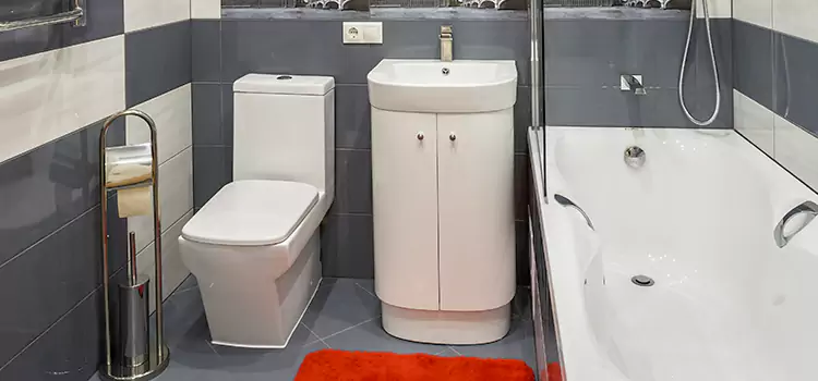 Hansgrohe Shaving Mirror Colonial Heights